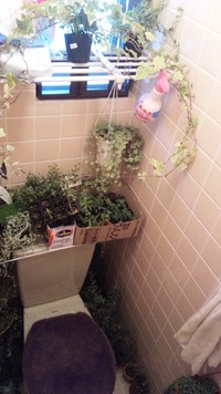 緑畑のトイレ。(≧ω≦)。・*・。. 2012/06/19 12:37:47