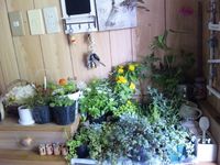 大移動Ο(≧ω≦；)Ο 2011/08/04 11:00:00