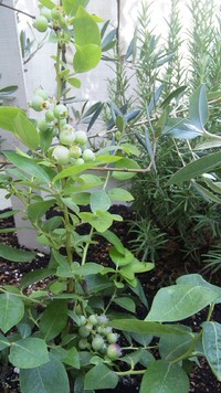やっとΟ(≧ω≦)Ο♪♪♪ 2011/08/31 22:56:52