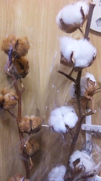 X’mas気分♪*・。.。・*☆ 2011/12/09 12:07:00
