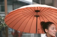 雨傘入荷！２４本骨傘『mabu』