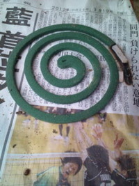 知ってた？