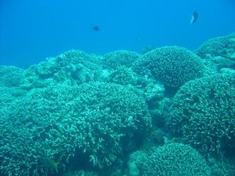 瀬長沖へ