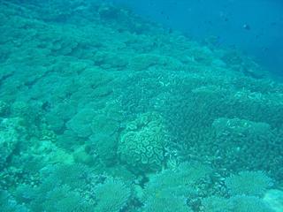 瀬長沖へ