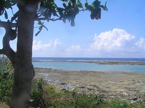 大度海岸で海遊び