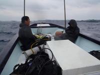 11/6(土）南部の海　好きだ… 2010/11/06 22:49:42