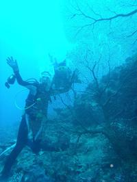 　今日も南部の海へ 2010/11/12 21:13:49