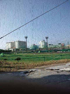 日ハムキャンプ