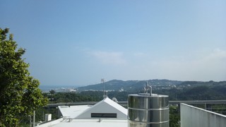いい景色です