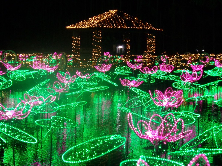 沖縄観光 東南植物楽園で開催中のイルミネーションイベントは最高でした 沖縄観光タクシー デイゴ会