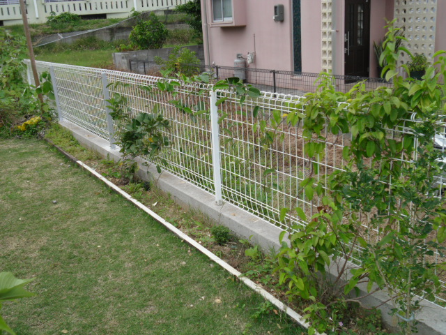 支柱建て