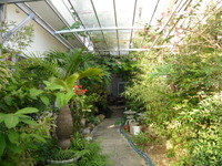 緑のトンネル 2011/10/30 13:56:39