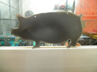 動物サインプレート 2012/03/17 01:20:28