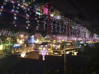 2011年11月23日