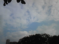 サボりの鬼！！ 2010/01/16 14:39:19