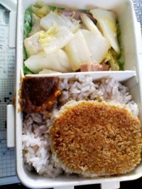 ＡＫＮ弁当どす。 2009/12/29 23:38:25
