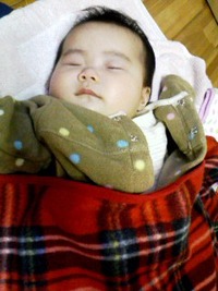 安心してとん。 2010/01/10 20:39:30