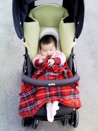 今日のサエちゃん。ベビーカー買いました。 2010/01/17 12:08:59