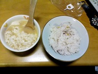 朝飯と座ってるサエ。 2009/11/19 08:48:41