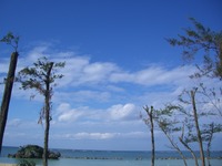 第2回 出展要項その１☆彡 2011/03/01 11:48:26