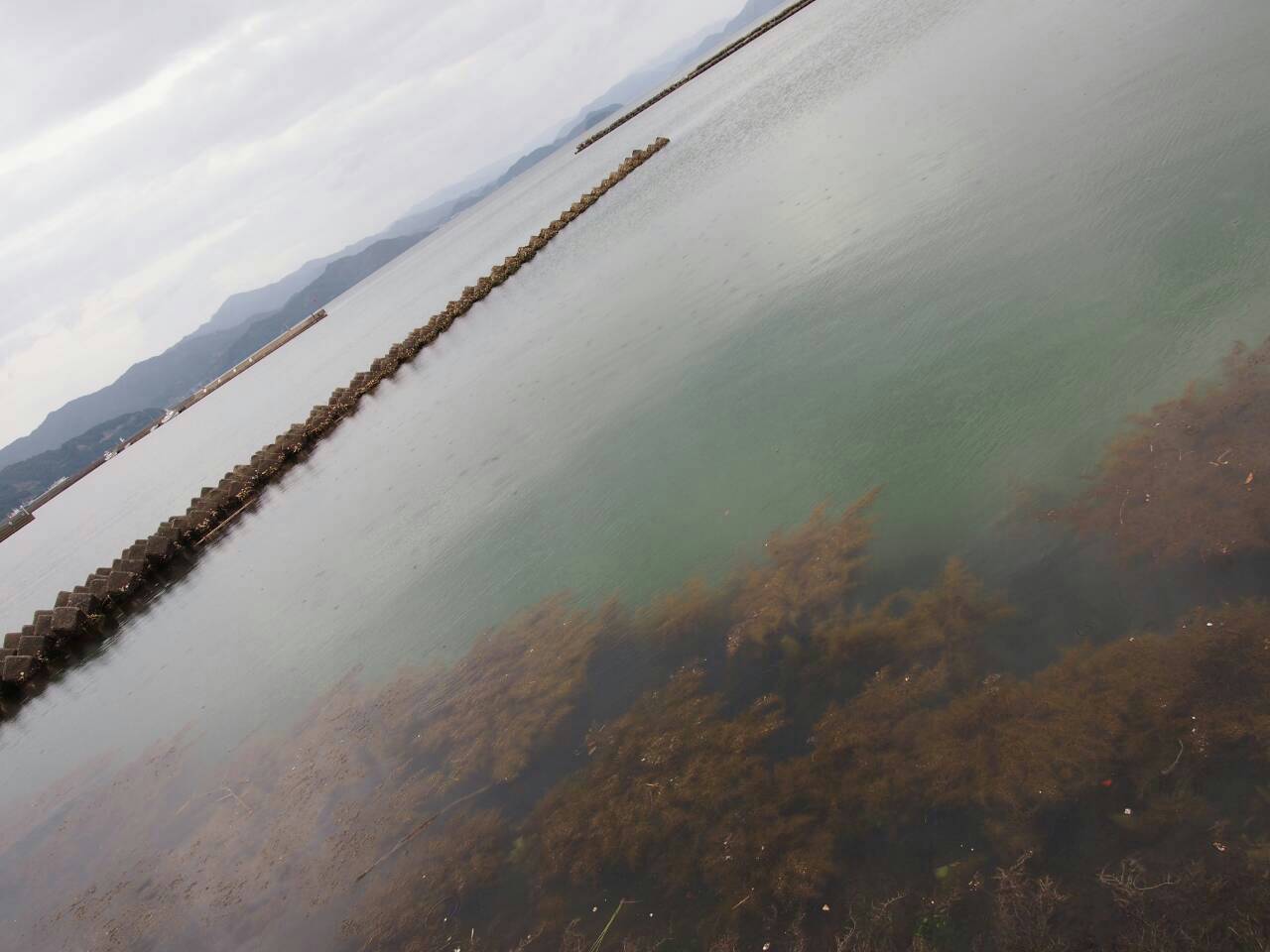 福井県オバマ釣行　続き