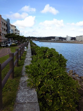 北谷町海をきれいに！