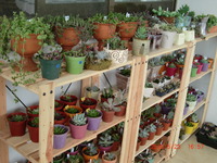 OPEN！ 2010/05/23 18:05:13