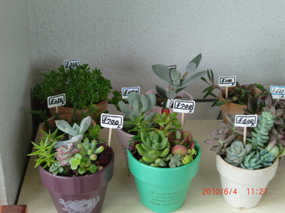 ☆ミニ寄せ植え☆