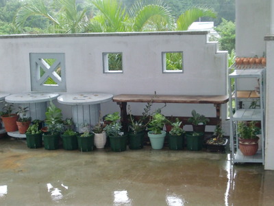 台風対策！