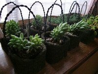 急がねば！ 2011/03/25 15:06:23