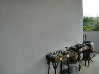 作ってもらいました！ 2011/04/12 16:38:19