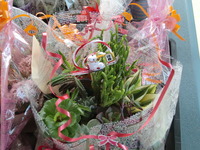 ☆オーダー☆ 2012/01/19 16:10:17