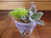 ☆オーダーNO.３☆ 2012/01/27 07:12:57