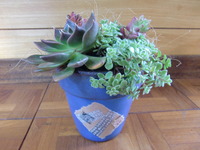 ☆オーダーNO.２☆ 2012/01/26 14:14:35