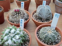 ☆只今準備中☆ 2012/02/11 11:46:30