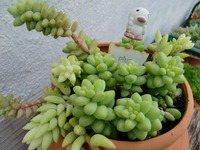 ☆ありがとうございました☆ 2012/02/21 17:07:36