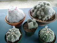 ☆入荷パート１☆ 2012/02/24 16:04:30