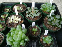 ☆入荷パート２☆ 2012/02/26 14:34:42