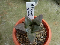 ☆入荷＆告知☆ 2012/04/21 18:05:47