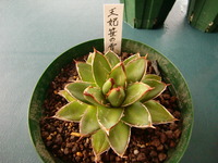 ☆明日は営業しています☆ 2012/04/30 16:54:07