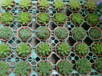 ☆入荷しました☆ 2012/05/05 14:10:46