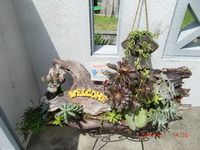 明日OPEN！！ 2010/06/01 15:17:10
