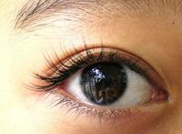 eye lash extention