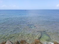 中部配達 2018/04/04 11:25:42