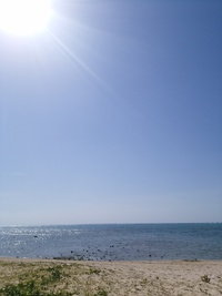 シーミー　残波の海！ 2018/04/09 11:44:16