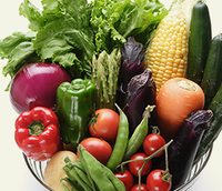 無農薬、減農薬にこだわった有機栽培 「食の風」自然農園野菜セット