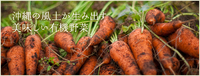 「消費者」と「生産者」をつなぐかけ橋