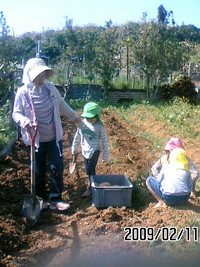 孫とやさいの収獲 2009/02/12 09:52:25