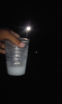 癒しの徳之島 2010/08/19 21:19:32