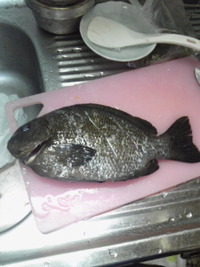 やっぱ海最高! 2011/05/22 20:48:44